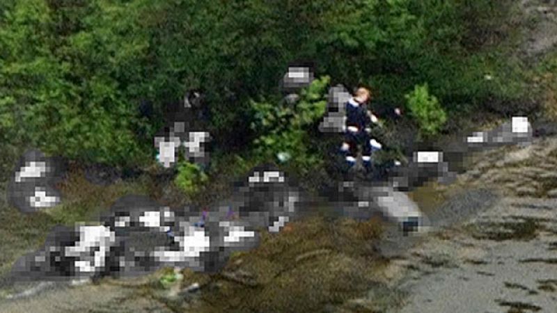 Informe Semanal: Oslo, la paz perdida