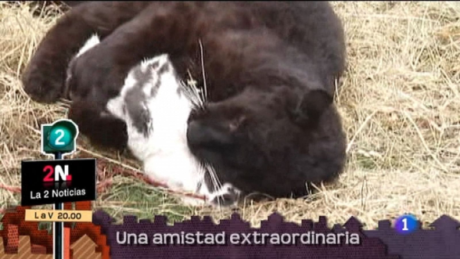 Lo que hay que ver - 24/07/11 - Ver ahora