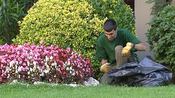 Telediario 1 - Discapacitados intelectuales