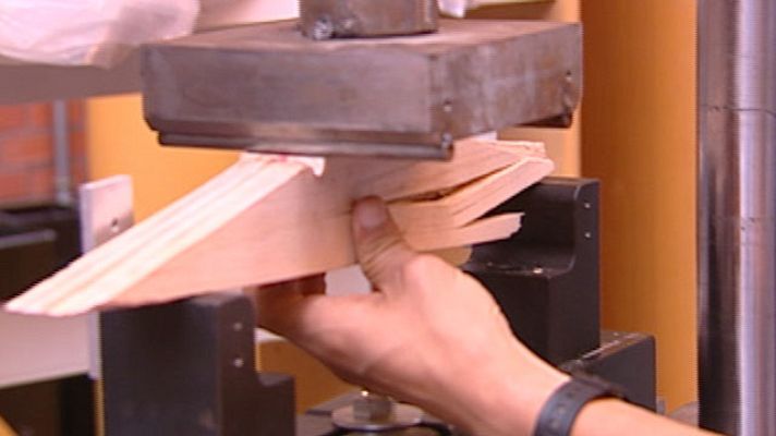 Telediario 1 - Campamentos científicos de verano