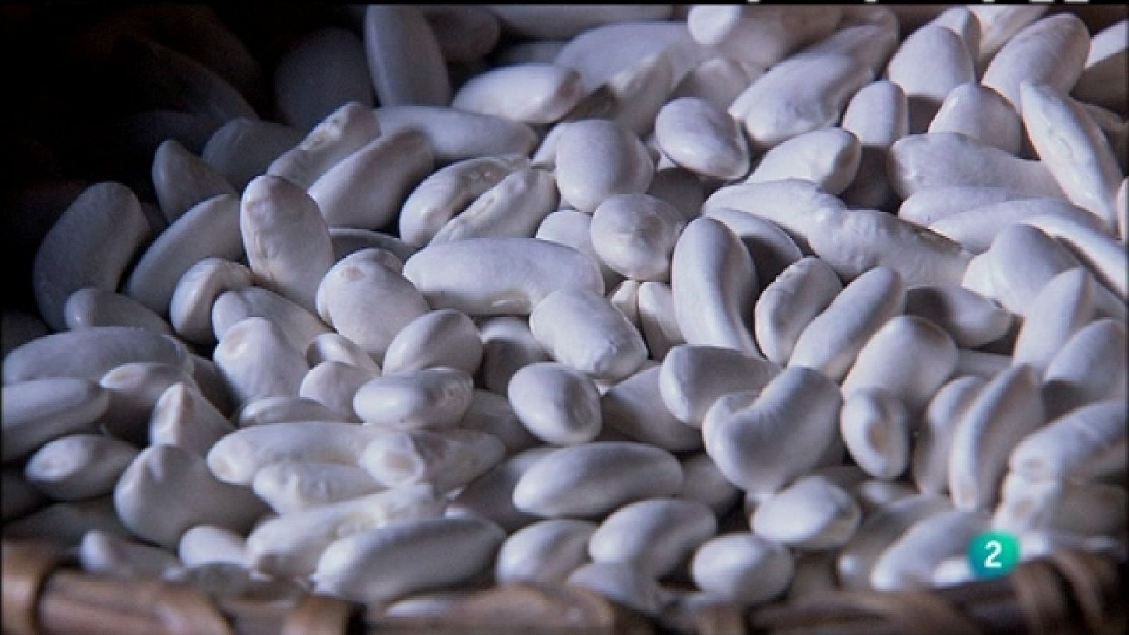 Biodiario - 28/07/11 - Ver ahora