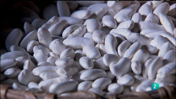 Biodiario - Biodiario - 28/07/11