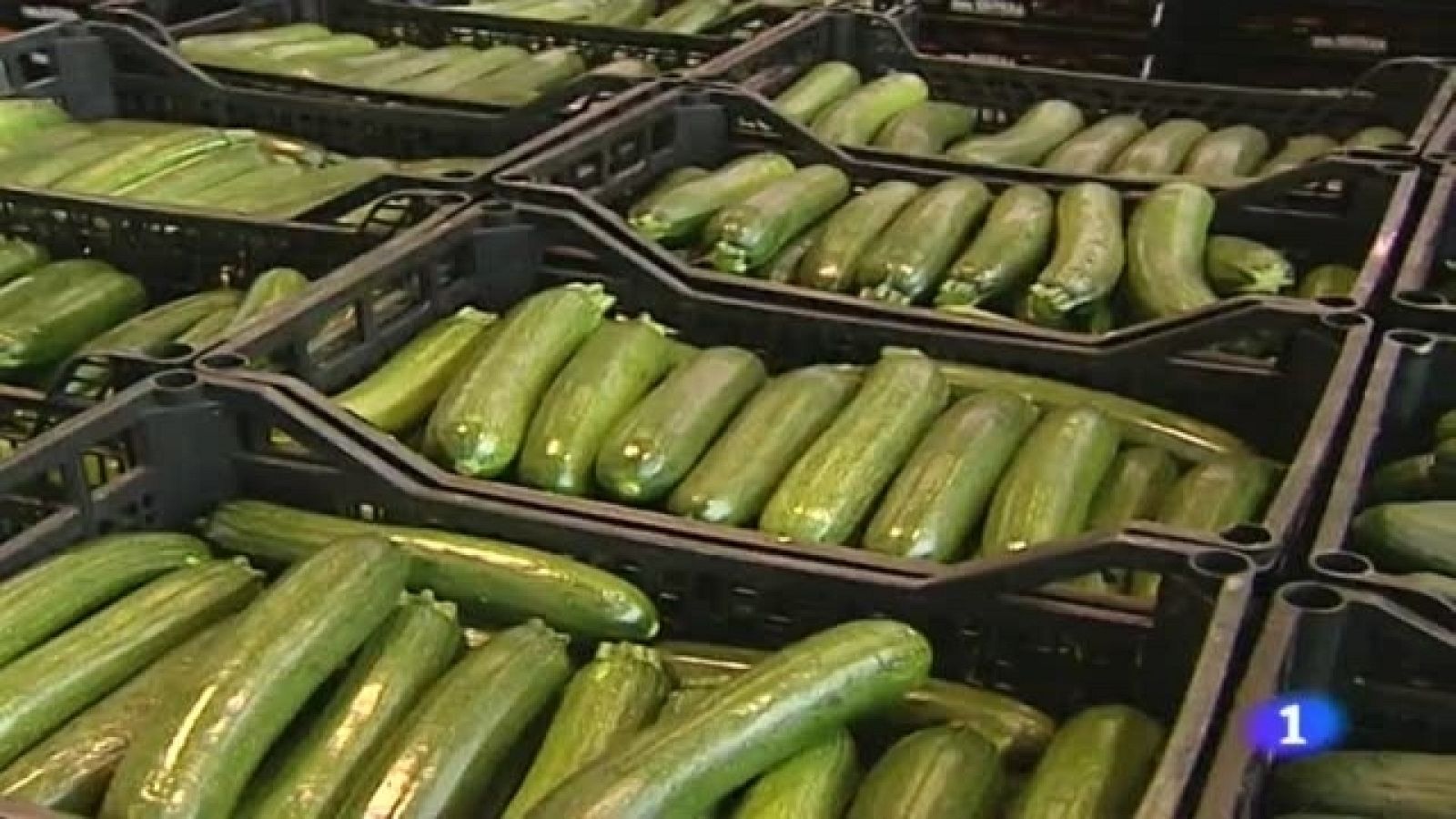 Telediario - 21 horas - 28/07/11 - Ver ahora