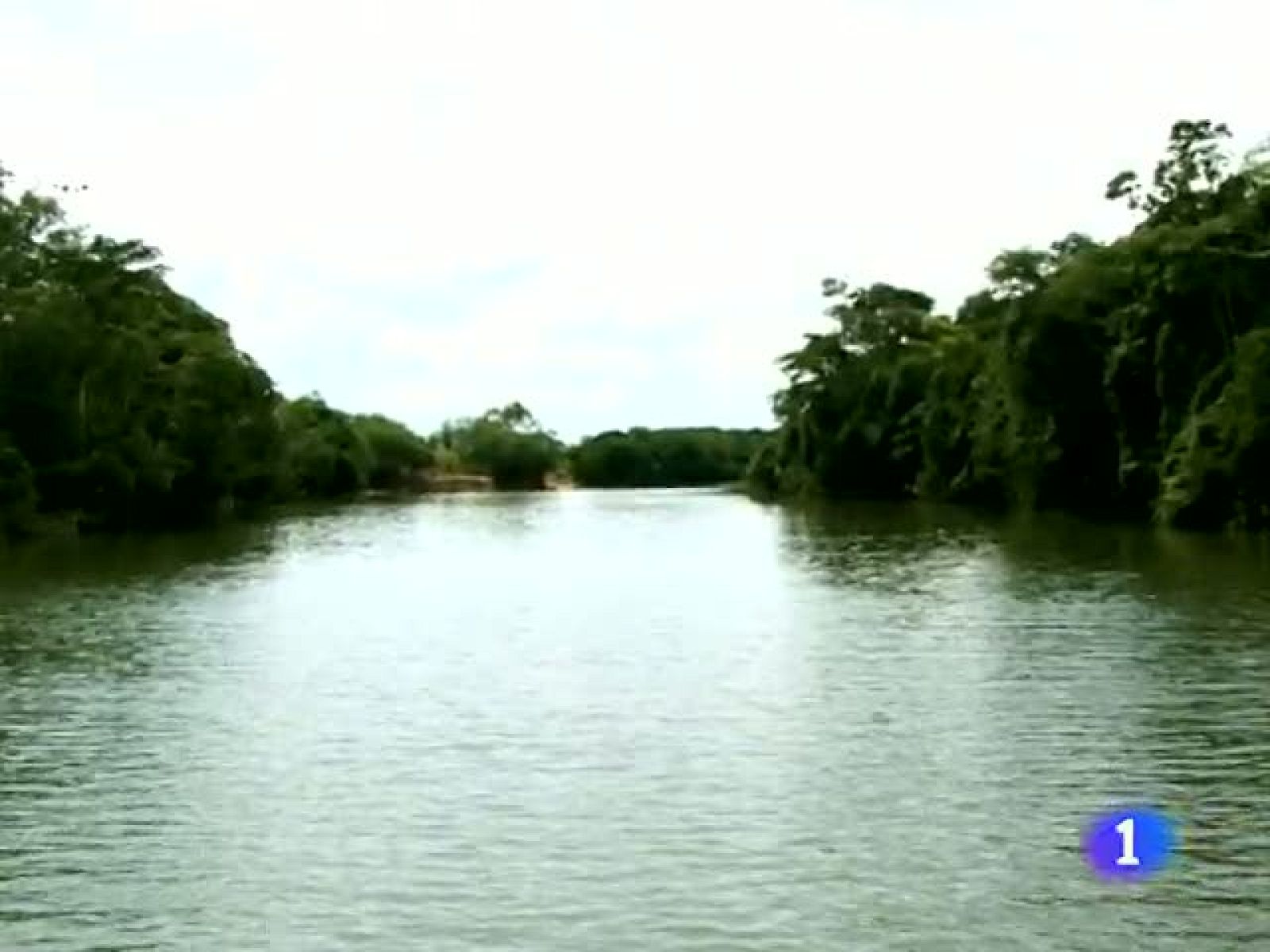 Un periodista español gana el premio al mejor reportaje de denuncia en Brasil