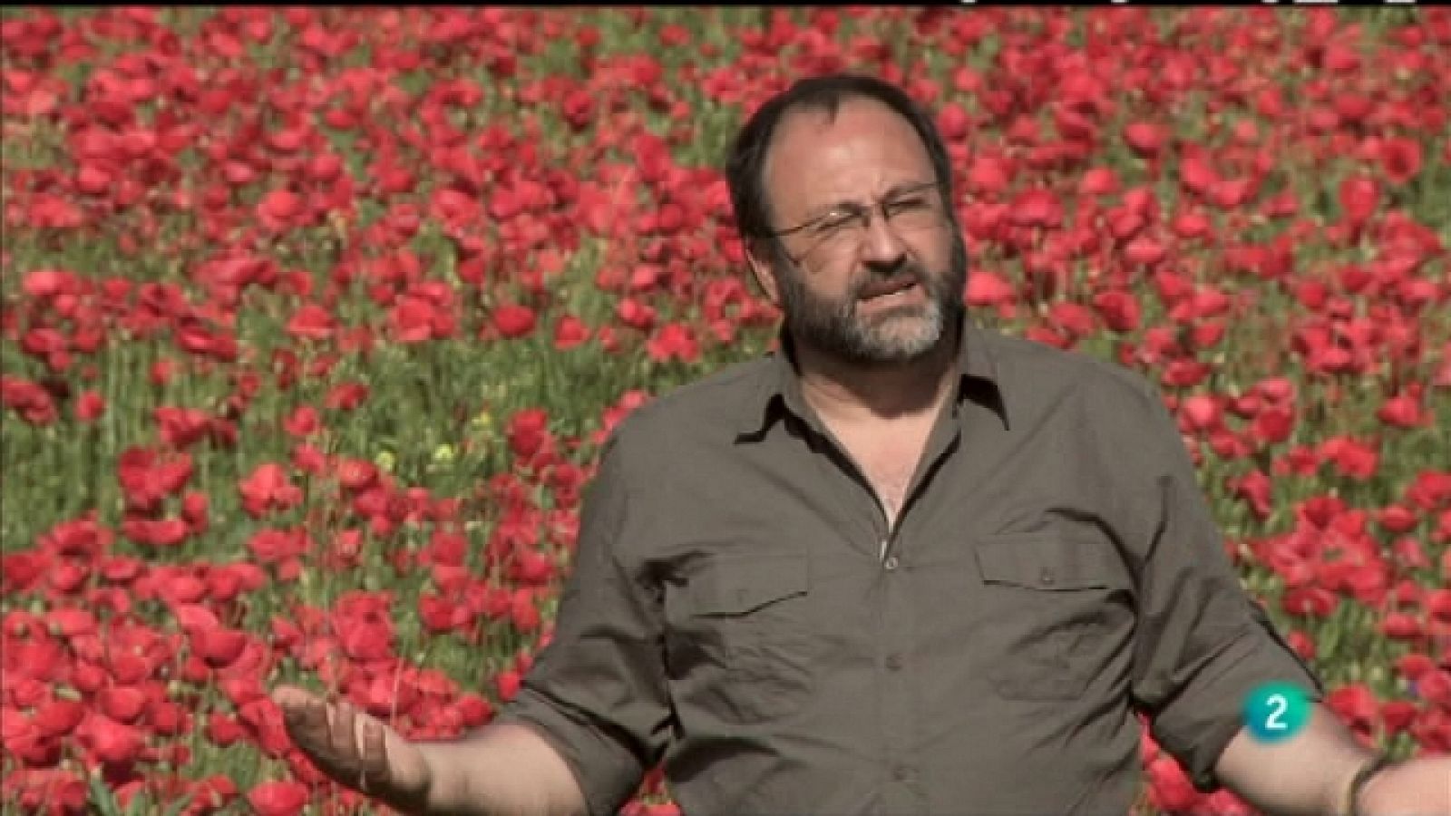 Biodiario - 31/07/11 - Ver ahora