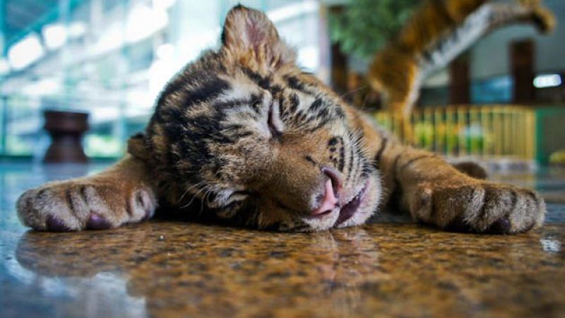 On Off: Dos hermanas liberianas en Rumanía | Ver