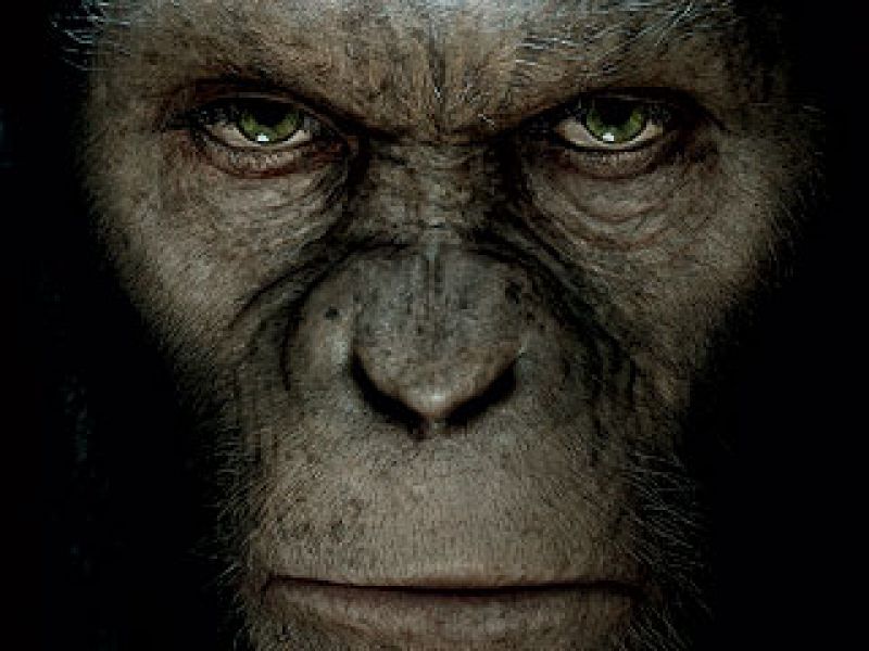 Espectacular montaje de 'El origen del planeta de los simios'