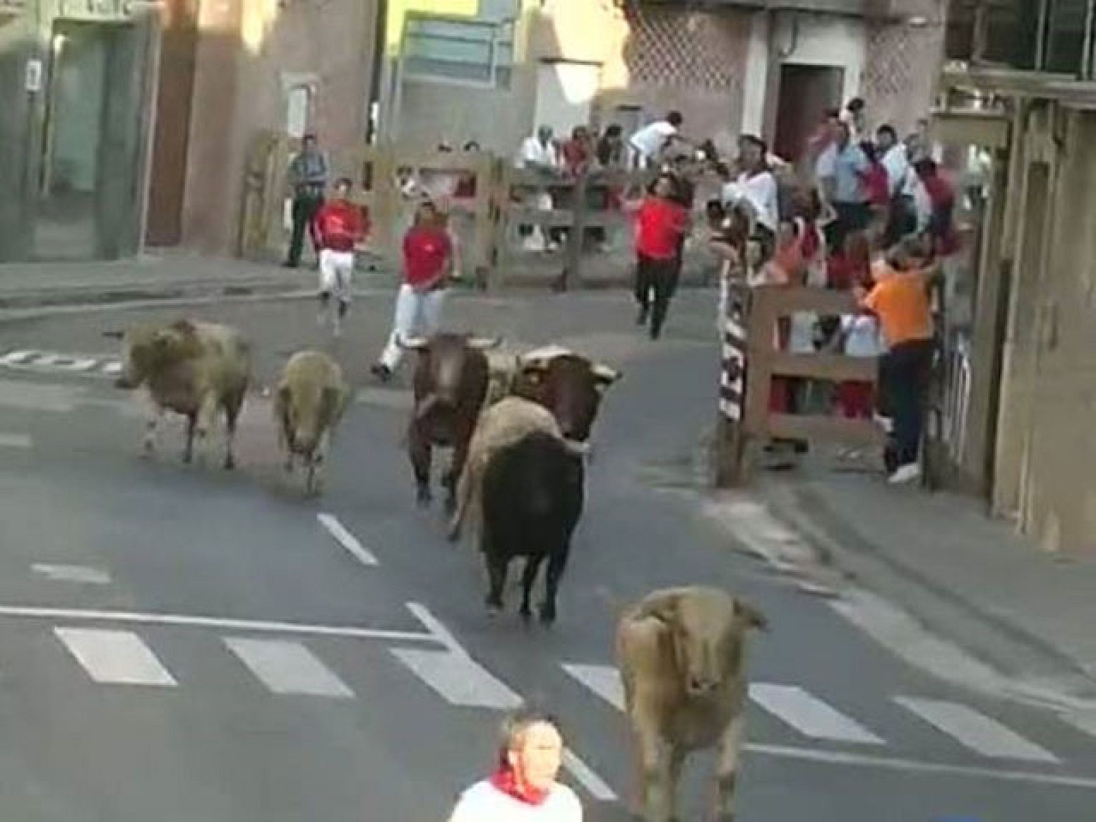 Un hombre muere por las cornadas de un novillo en un encierro en Navarra