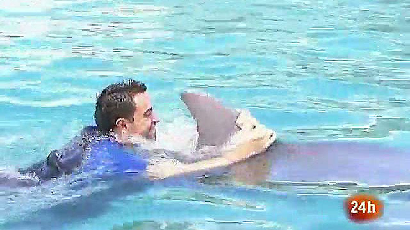 El Barça se divierte entre delfines - Informativo 24h | Ver