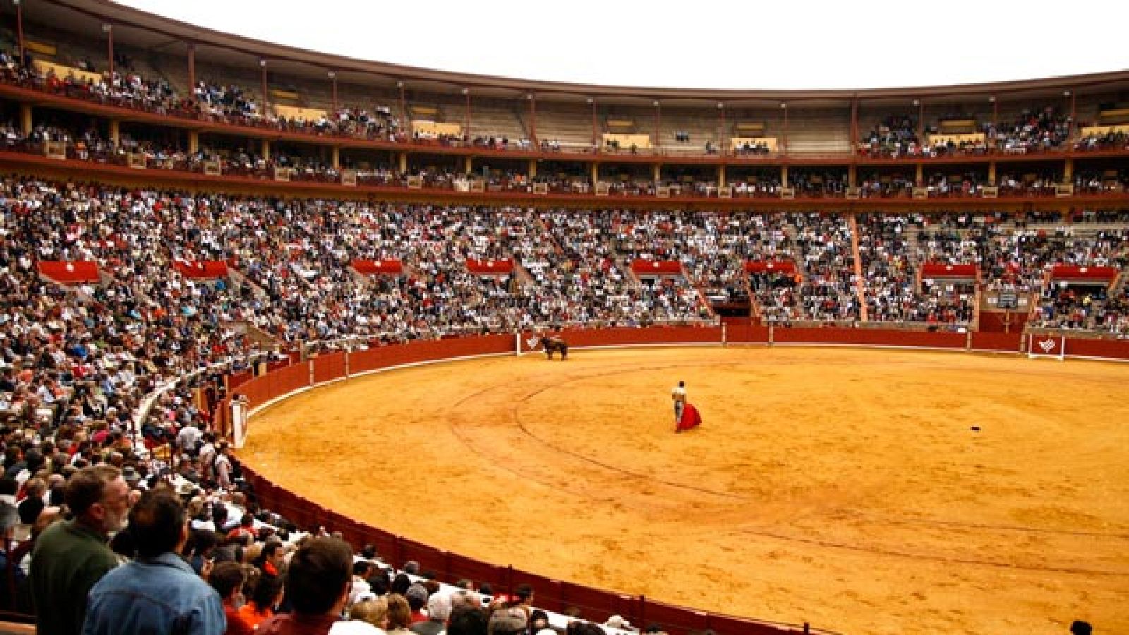 Córdoba ha sido la ciudad española escogida para albergar la semifinal de la Copa Davis entre España y Francia. En la plaza de toros de la ciudad andaluza se disputarán las semifinales del 16 al 18 de septiembre.