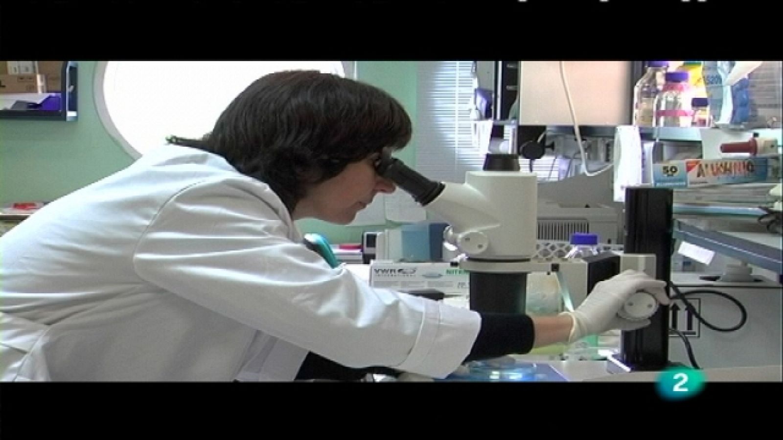 + Investigadores - Marta Nieto López - Ver ahora