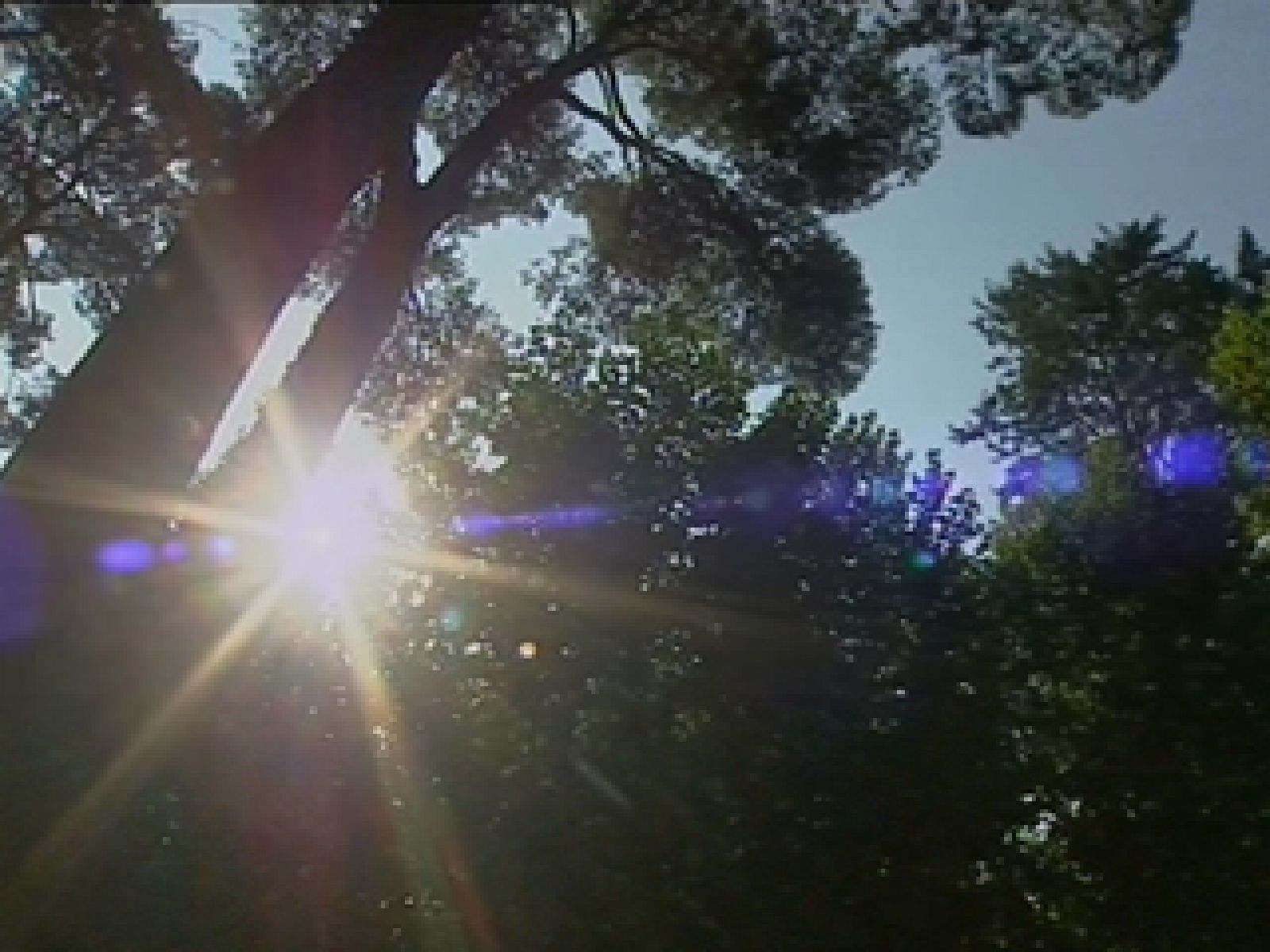 Chubascos y tormentas fuertes en Aragón y Cataluña