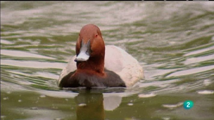 Biodiario - Biodiario - 04/08/11