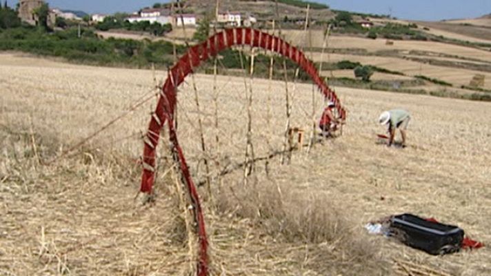 Telediario 1 - Arte con la naturaleza