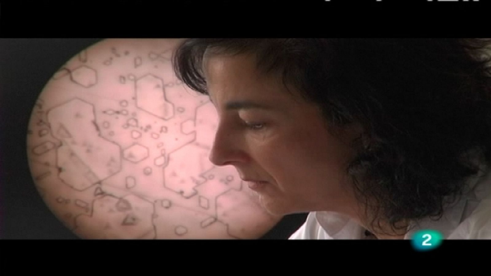 + Investigadores - Luisa E. Bausa - Ver ahora