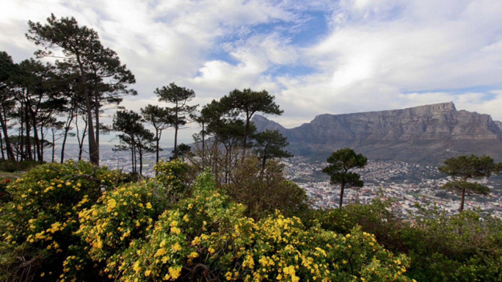 La sombra de los árboles son un aire acondicionado ecológico y sin gasto