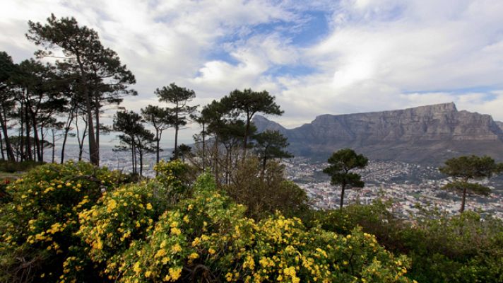 Telediario 1 - ¿Existe la sombra ideal?