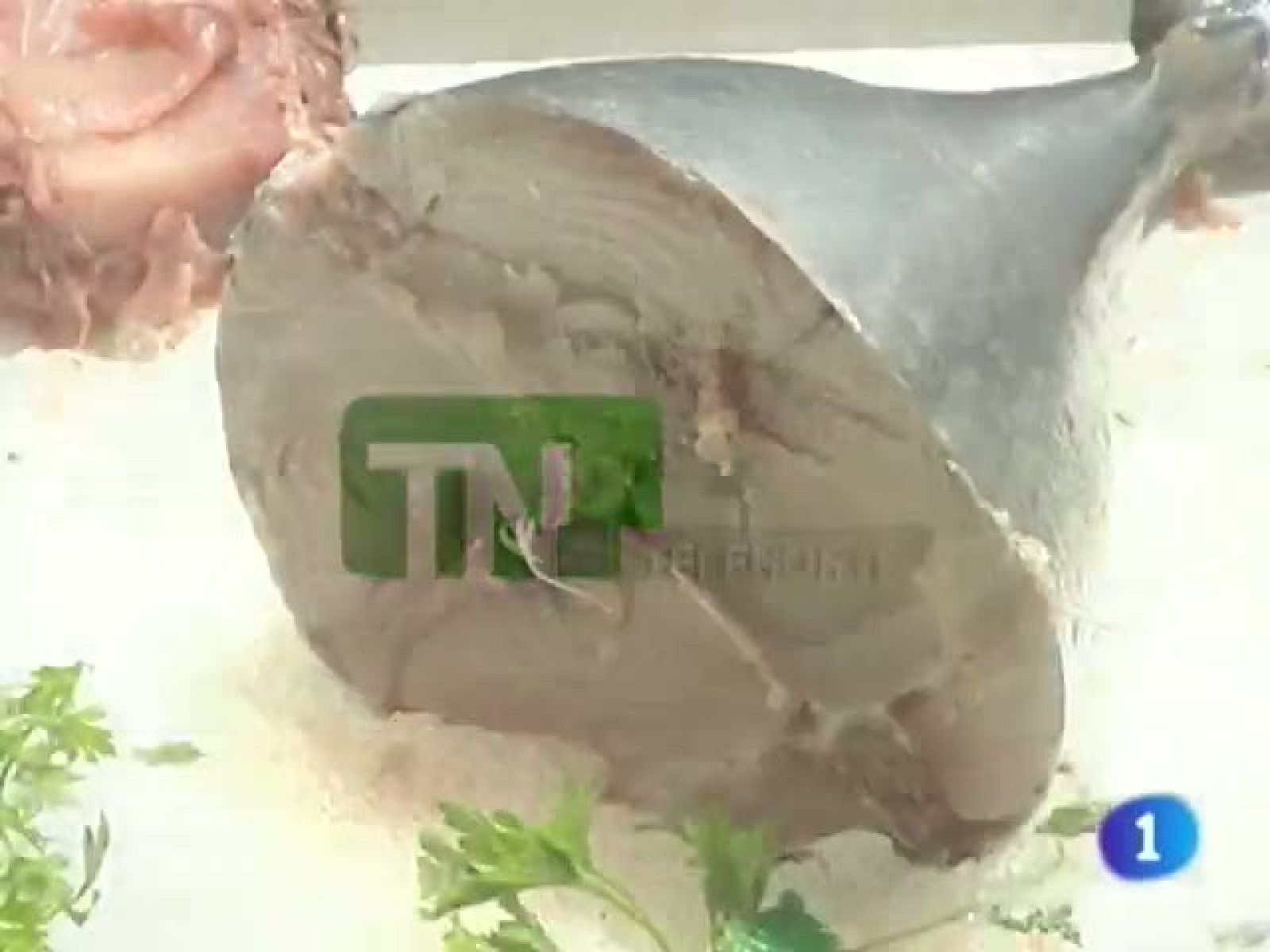 Telenorte en 2'- 10/8/11