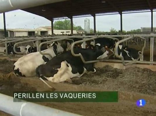 Informatiu Balear - Informatiu Balear - 10/08/11