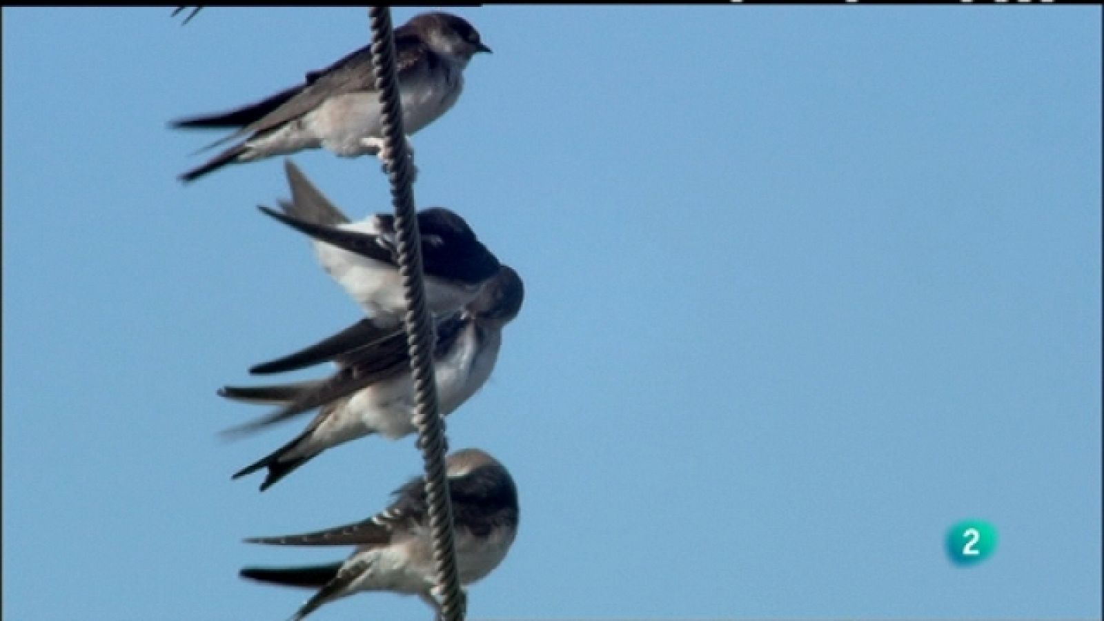 Biodiario - 10/08/11