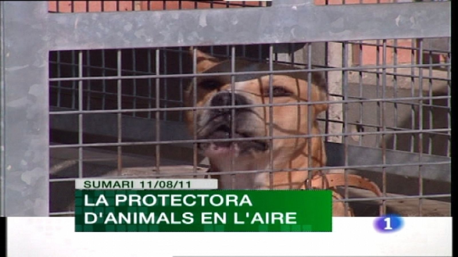 L'Informatiu. Informativo Territorial de la C. Valenciana - 11/08/11 - Ver ahora