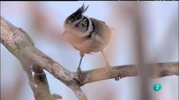 Biodiario - Biodiario - 11/08/11