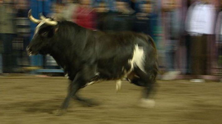 Telediario 1 - Otra víctima del toro 'Ratón'