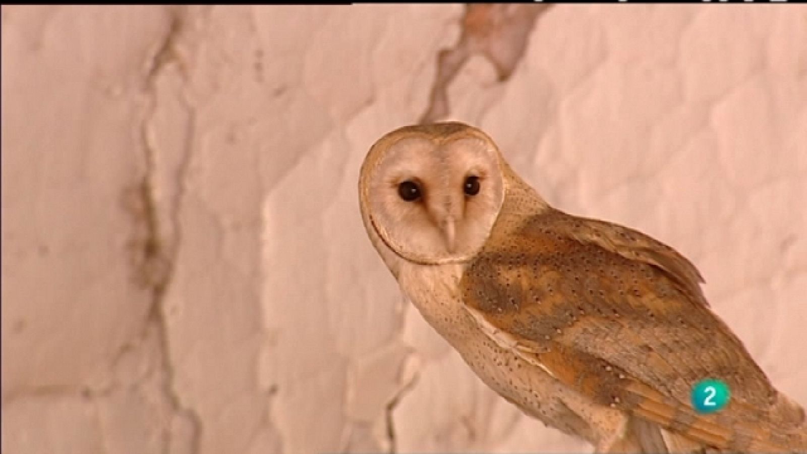 Biodiario - 14/08/11 - Ver ahora