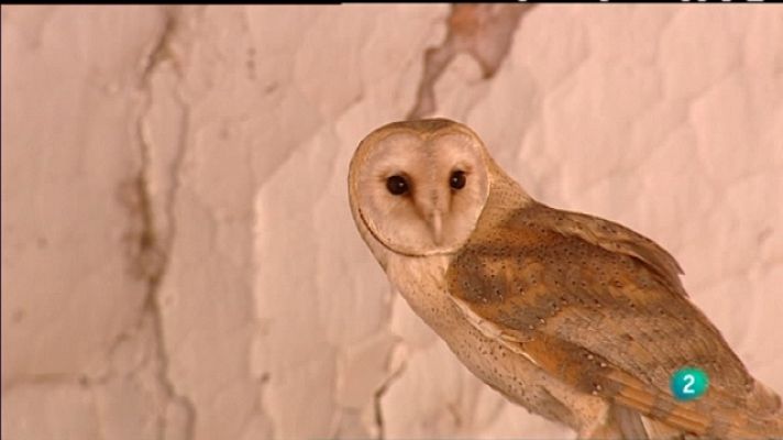 Biodiario - Biodiario - 14/08/11