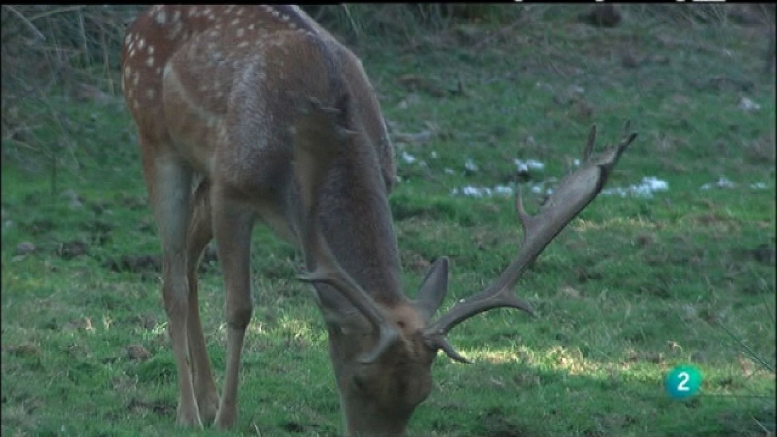 Biodiario - 15/08/11 - Ver ahora