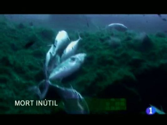 Informatiu Balear - Informatiu Balear - 17/08/11