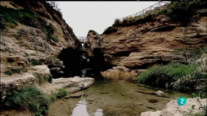 Biodiario - Biodiario - 17/08/11