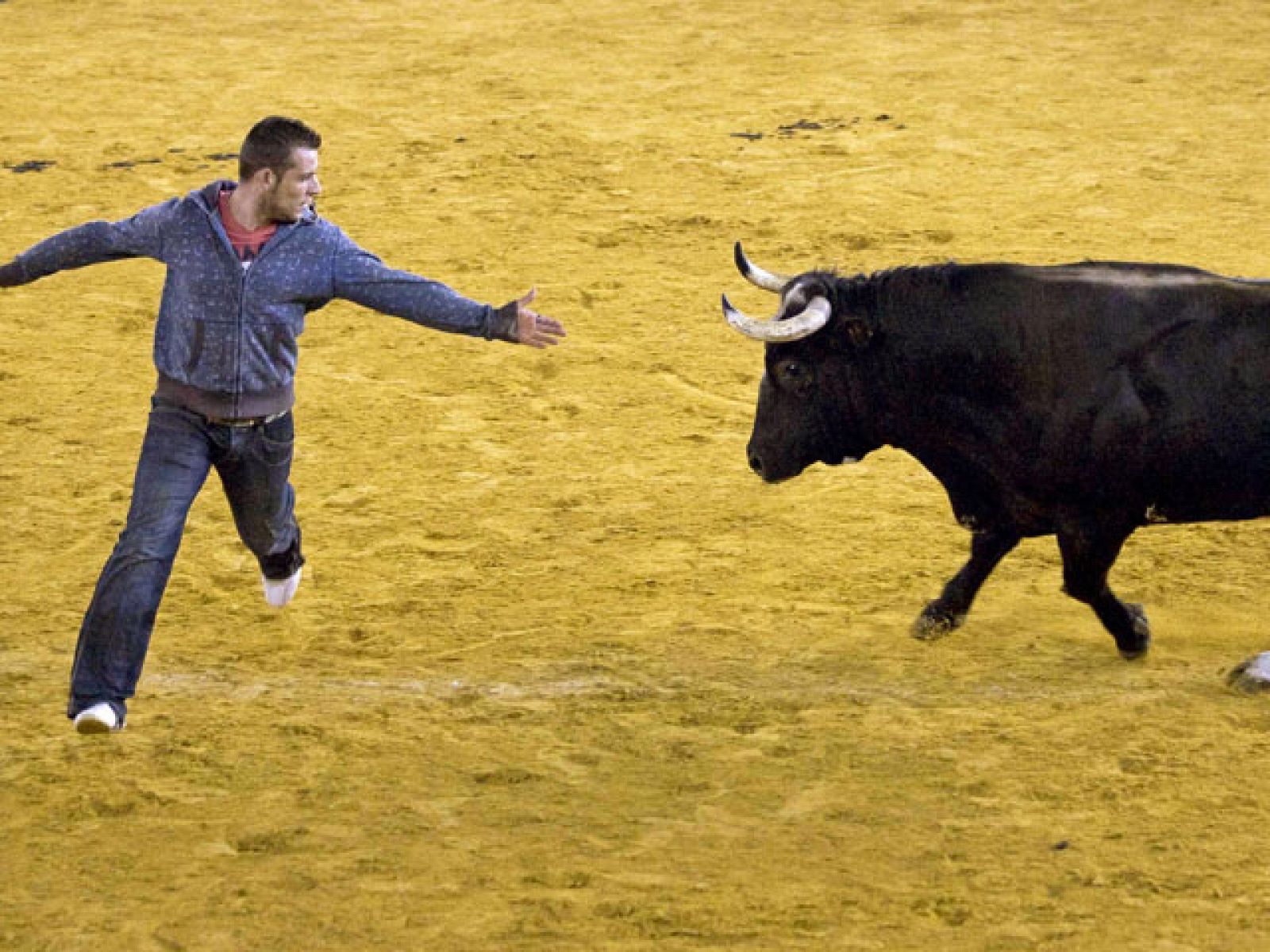 Ratón, el toro que ha matado a tres personas, volverá a correr