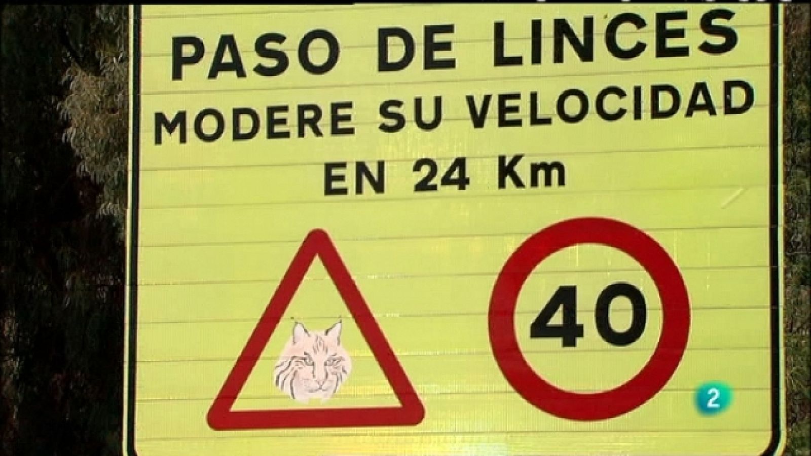 Biodiario - 19/08/11 - Ver ahora