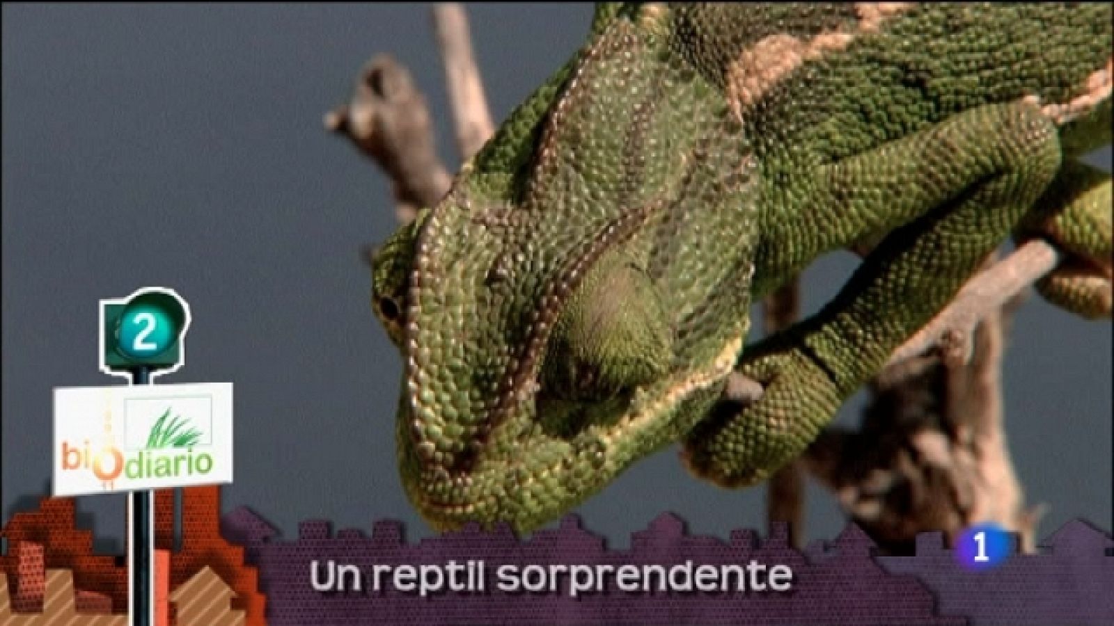 Lo que hay que ver - 20/08/11 - Ver ahora