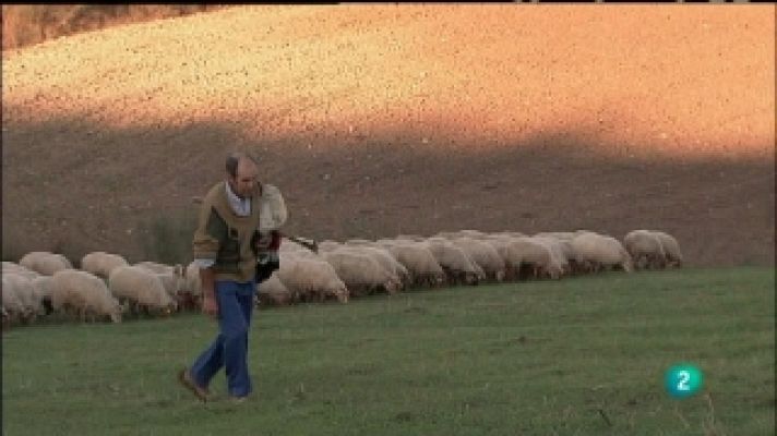 Biodiario - Biodiario - 21/08/11