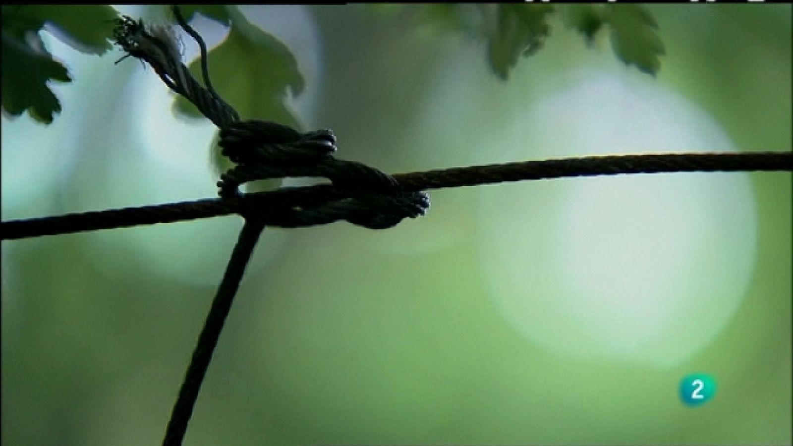 Biodiario - 23/08/11 - Ver ahora