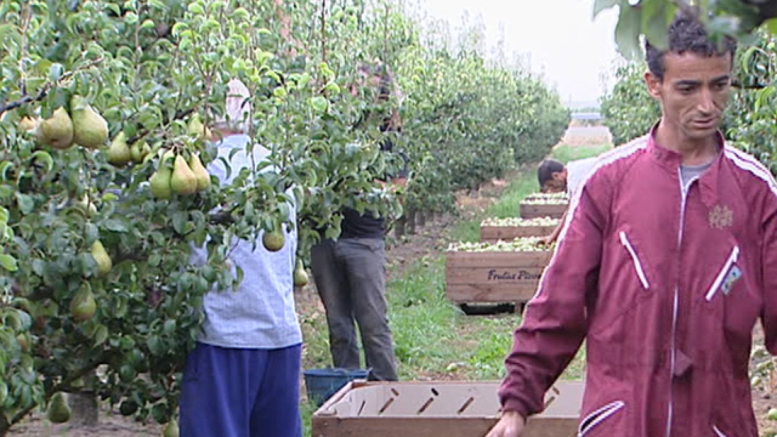 Los rumanos que vienen a España deben tramitar un permiso de trabajo