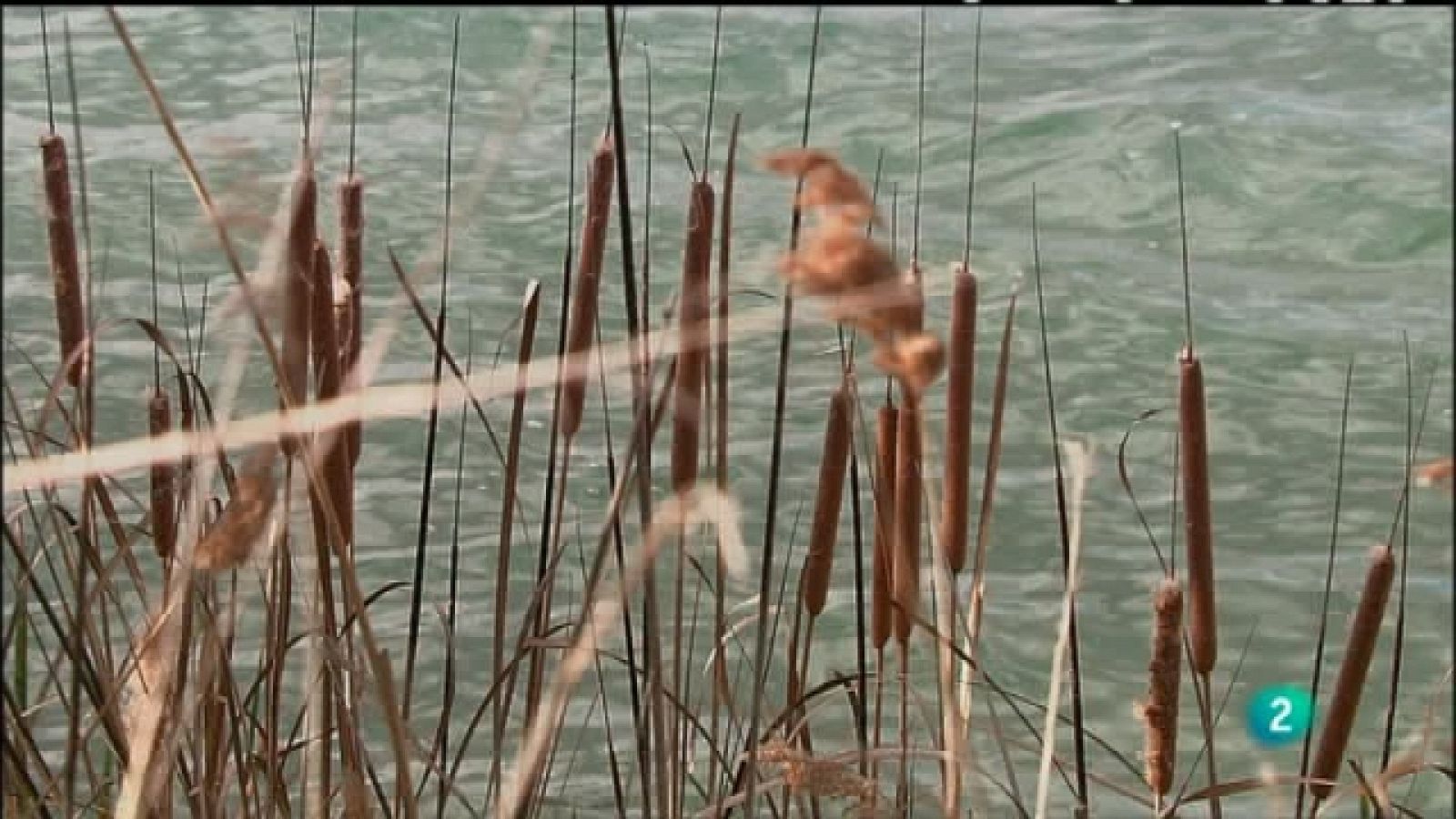 Biodiario - 25/08/11 - Ver ahora