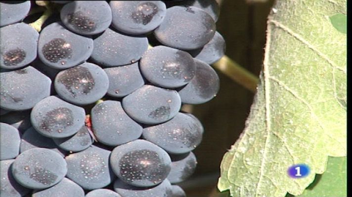 L'informatiu - Comunitat Valenciana - L'Informatiu - 26/08/11