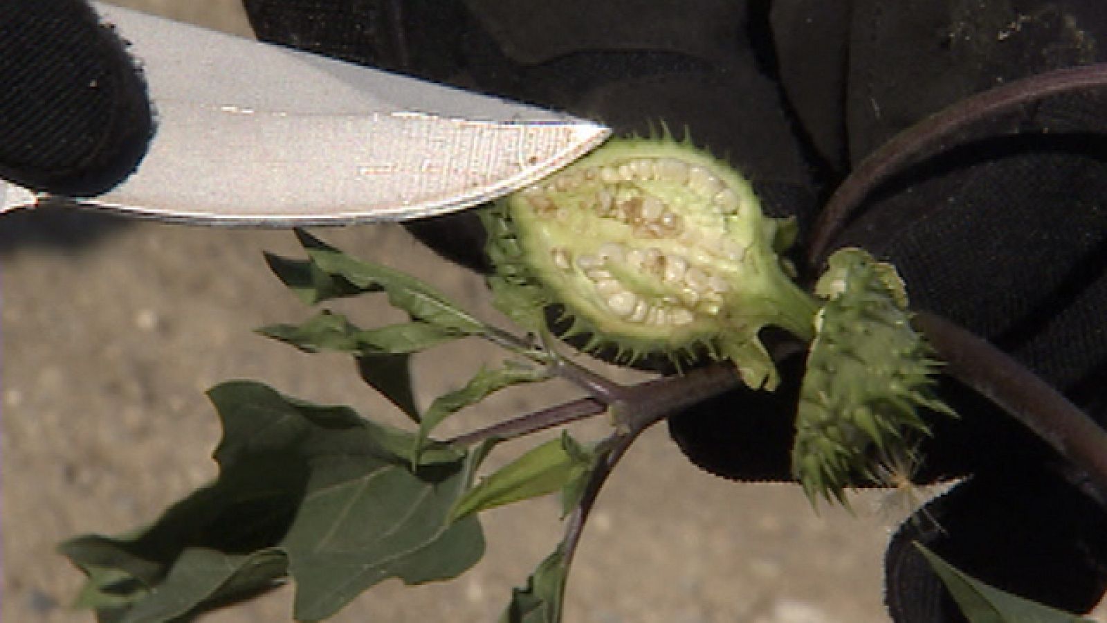 Informativo de Madrid - 26/08/11