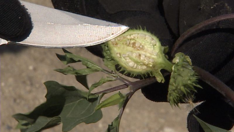 Informativo de Madrid - 26/08/11