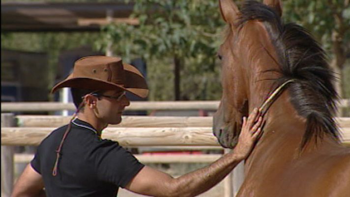 Telediario 1 - Doma natural de caballos
