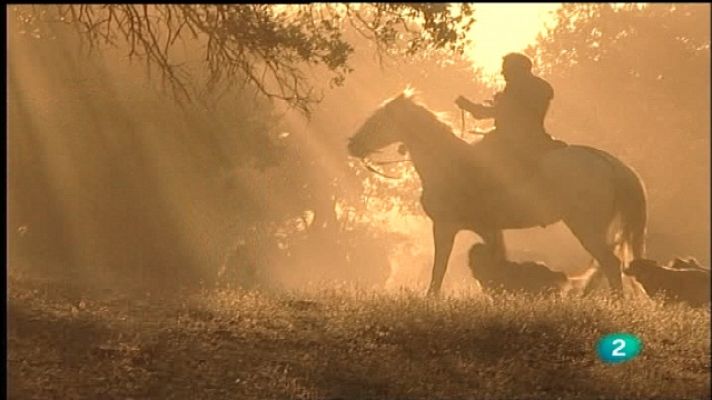 Espacios naturales - La vereda de las reses bravas