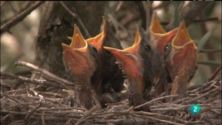 Biodiario - Biodiario - 30/08/11