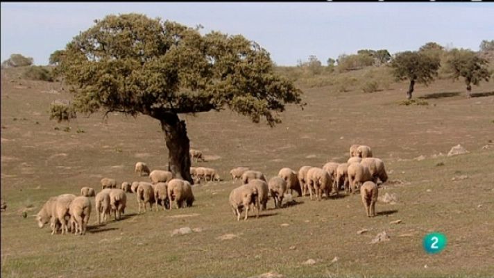 Biodiario - Biodiario - 01/09/11