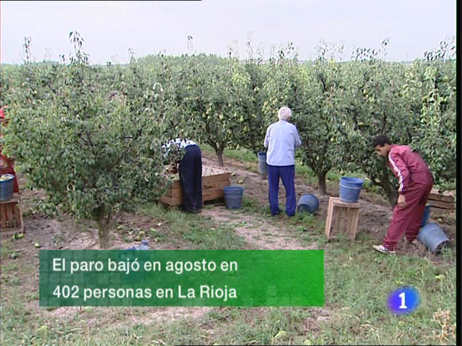 Informativo Telerioja - 02/09/11 | Ver