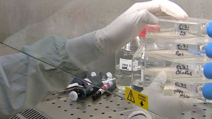 Telediario 1 - Avance en la lucha contra el cáncer