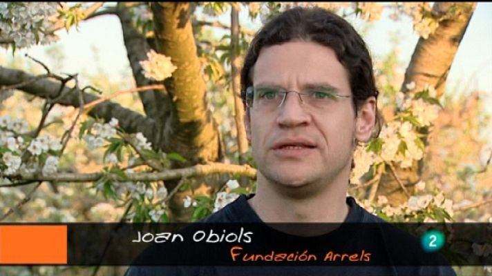 Pueblo de Dios - Lleida: La red social