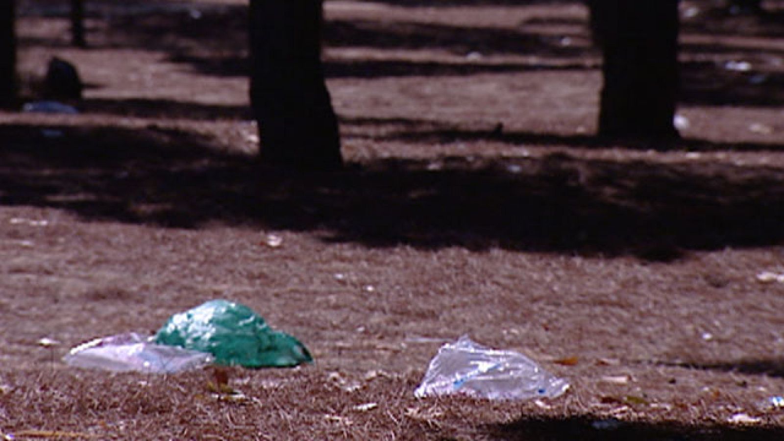 7 policías heridos y 8 detenidos durante las fiestas de Alcorcón